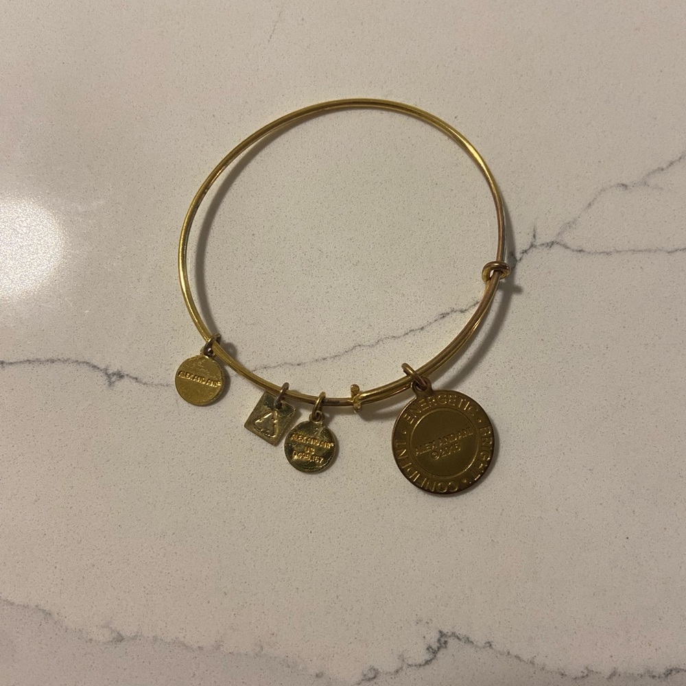 Alex and Ani Charm Bangle